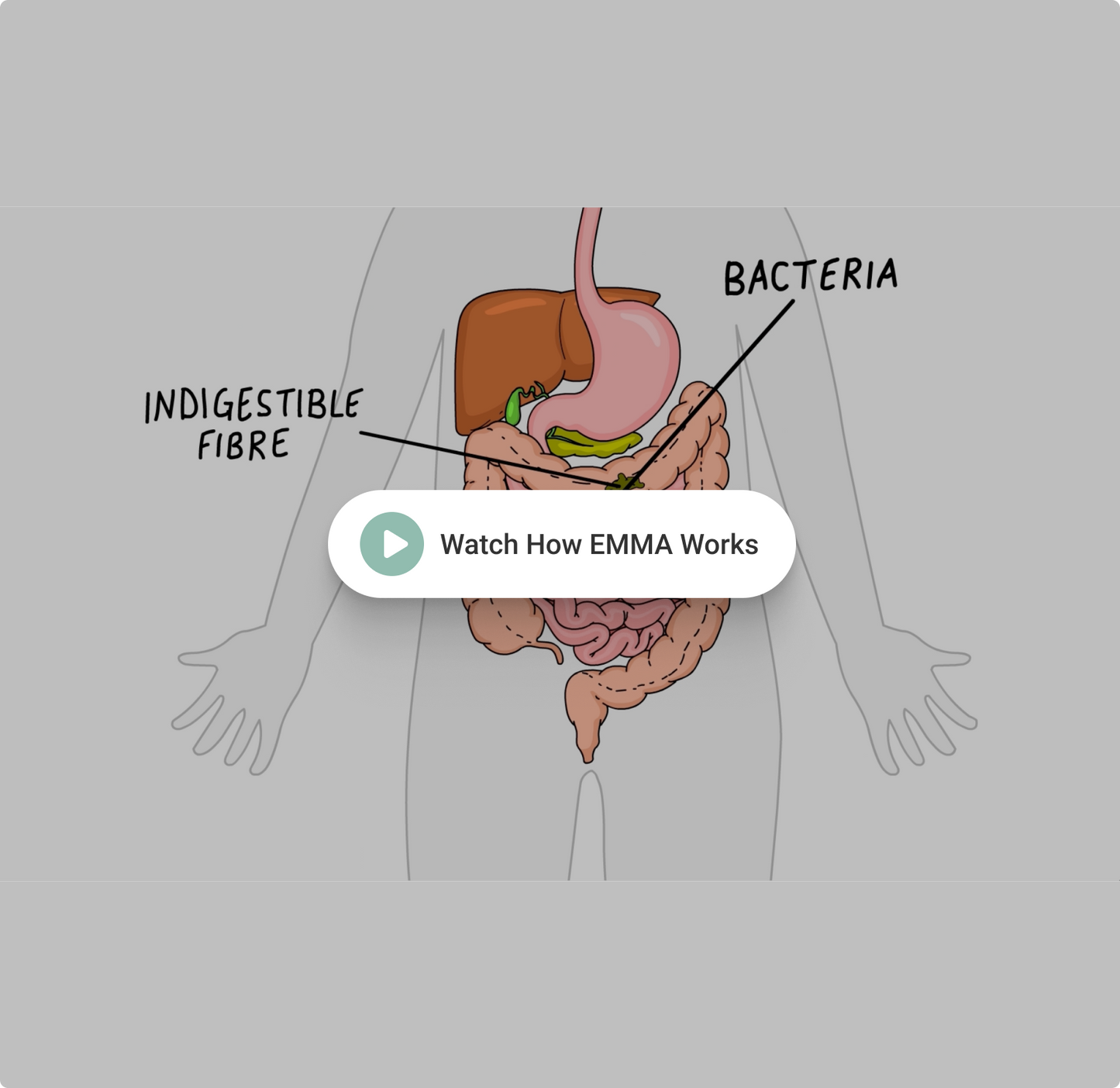 Emma Gut Health